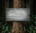 Forest Blank Sign