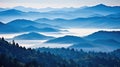 forest blue ridge mountains