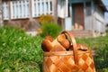 Forest boletus in the basket on a green grass against house