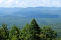 Forest bordering Appalachian Mountains