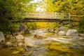 Forest Bridge