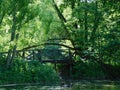 Forest bridge over the pond in the park Royalty Free Stock Photo