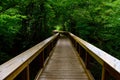 Forest bridge pathway