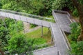 Forest Bridge In Singapore