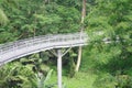 Forest Bridge In Singapore Royalty Free Stock Photo