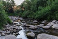 Forest Brook. A beautiful summer evening landscape