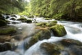 a forest brook flowing among the coniferous trees from the slope of mount kasprowy wierch kasprowy wierch is a summit in the