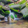 Forest brook waterfall between mossy rocks