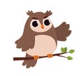 Forest brown owl vector concept