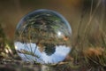 Forest through a bruning glass Royalty Free Stock Photo