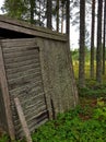 Forest cabin