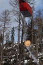 A forest cableway for transportation