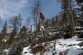 A forest cableway for transportation