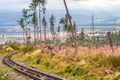 Forest calamity in the High Tatras National Park, Slovakia.