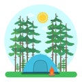 Forest camp