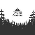 Forest camping background