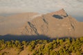 Forest of Canary Island pine and cliffs of the soutwest of Gran Canaria.