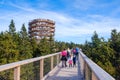 Forest canopy tower and walkway, footpath above treetops