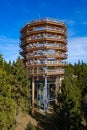 Forest canopy tower and walkway, footpath above treetops