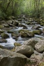 Raging waters of Big Creek, Tennessee