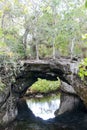 Forest with a cenote at Giron Royalty Free Stock Photo