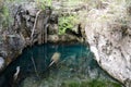 Forest with a cenote at Giron Royalty Free Stock Photo