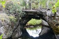 Forest with a cenote at Giron Royalty Free Stock Photo