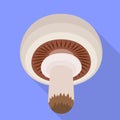 Forest champignon icon, flat style