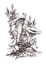 Forest chanterelle mushrooms with blueberry bushes, moss and autumn leaves. Graphic illustration hand drawn in black ink