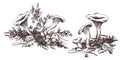 Forest chanterelle mushrooms with blueberry bushes, moss and autumn leaves. Graphic line art illustration hand drawn in