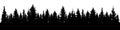 Forest of Christmas fir trees silhouette. Coniferous spruce panorama. Park of evergreen wood.
