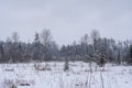 Forest clearing that has snowed white