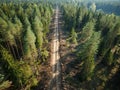 Forest clearing path stretches through trees, creating a firebreak with ample copy space Royalty Free Stock Photo