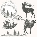 Forest collection of vector animals, trees and mountains