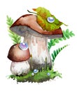 Forest composition, mushrooms, eco style, natural autumn gifts, natural style. Watercolor illustration handmade