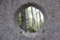 Forest through the concrete window