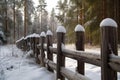 forest coniferous background snow fence farm rural landscape countryside winter close snow fence wooden old