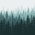 Forest coniferous trees seamless landscape