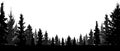 Forest, coniferous trees, silhouette vector background.