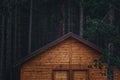 Forest cottage home in pine woodland at night