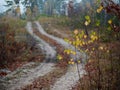 Forest country road curve cloudy golden autumn Royalty Free Stock Photo