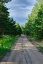 Forest country road, dirt road going deep into forest Royalty Free Stock Photo