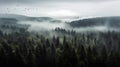 A forest covered in fog with birds flying in the sky