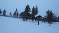 The forest covered with snow, Kakslauttanen, Finland Royalty Free Stock Photo