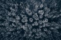 Forest covered in snow pattern background aerial view Royalty Free Stock Photo