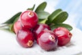 Forest cranberries with leaves Royalty Free Stock Photo