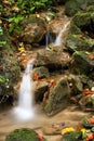 Forest creek Royalty Free Stock Photo