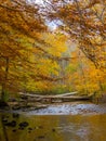 Forest Creek in Autumn, Pennsylvania Woodland, Ridley Creek State Park Royalty Free Stock Photo