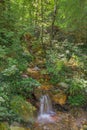 Forest creek at Rec del Obac nature trail
