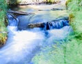 Forest creek rushing horsetail forest floor shade Royalty Free Stock Photo